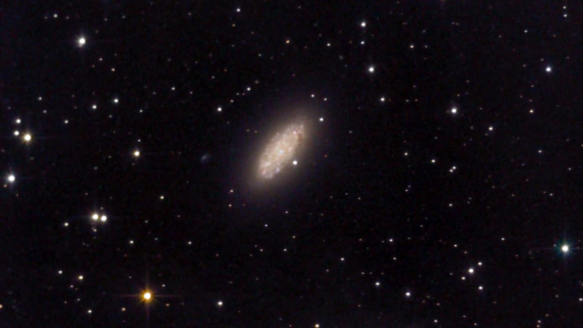 NGC 2976 (2) Spektrum der Wissenschaft